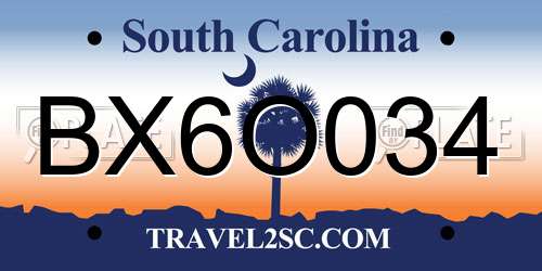 BX6O034 South Carolina License Plate