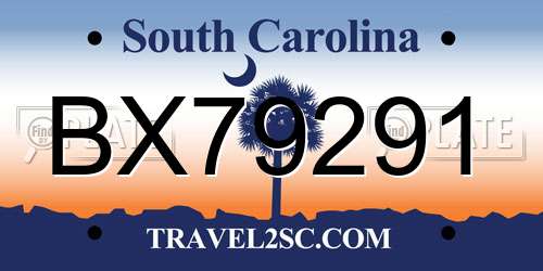 BX79291 South Carolina License Plate