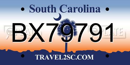 BX79791 South Carolina License Plate