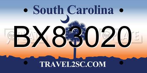 BX83020 South Carolina License Plate