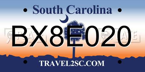 BX8E020 South Carolina License Plate