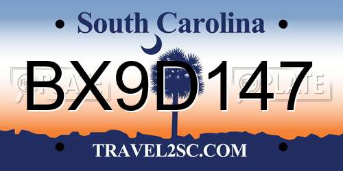 BX9D147 South Carolina License Plate
