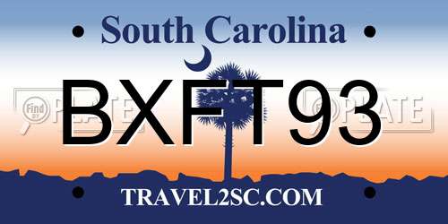 BXFT93 South Carolina License Plate