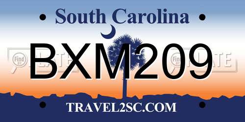 BXM209 South Carolina License Plate