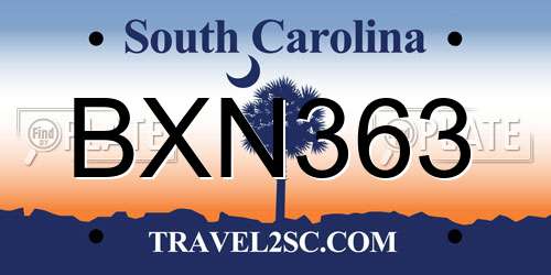 BXN363 South Carolina License Plate