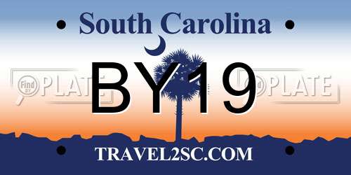 BY19 South Carolina License Plate