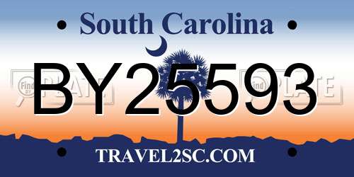 BY25593 South Carolina License Plate