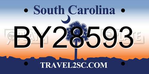 BY28593 South Carolina License Plate