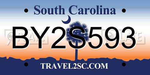 BY2S593 South Carolina License Plate