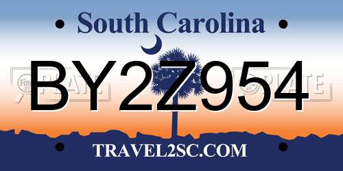 BY2Z954 South Carolina License Plate