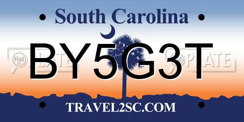 BY5G3T South Carolina License Plate