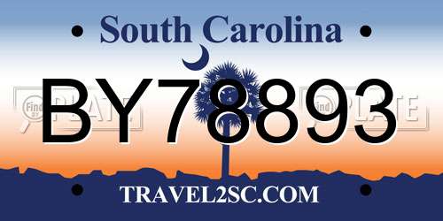 BY78893 South Carolina License Plate