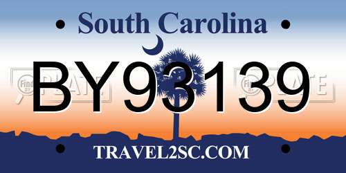 BY93139 South Carolina License Plate