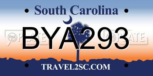 BYA293 South Carolina License Plate