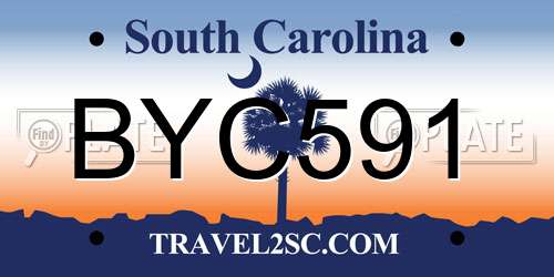 BYC591 South Carolina License Plate