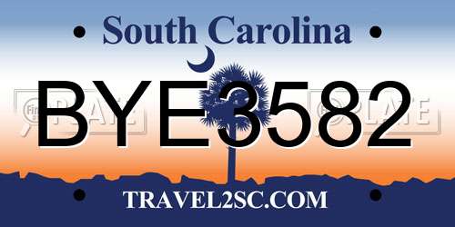 BYE3582 South Carolina License Plate
