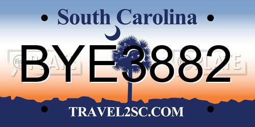 BYE3882 South Carolina License Plate