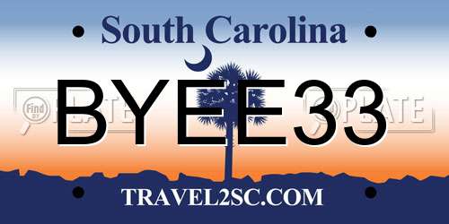 BYEE33 South Carolina License Plate
