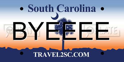 BYEEEE South Carolina License Plate