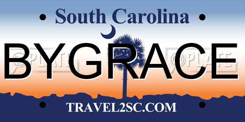 BYGRACE South Carolina License Plate