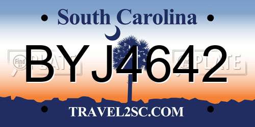 BYJ4642 South Carolina License Plate