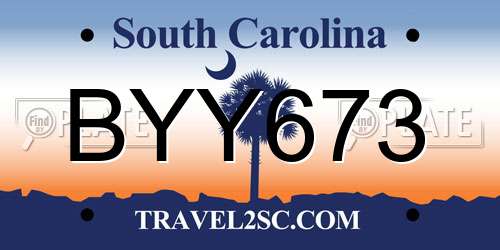 BYY673 South Carolina License Plate