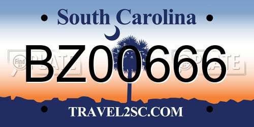 BZ00666 South Carolina License Plate