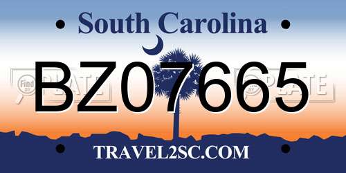 BZ07665 South Carolina License Plate