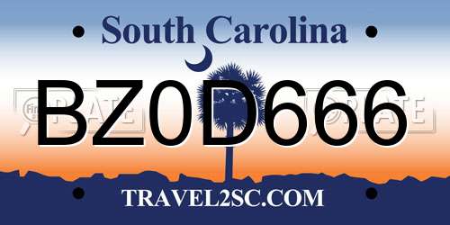 BZ0D666 South Carolina License Plate