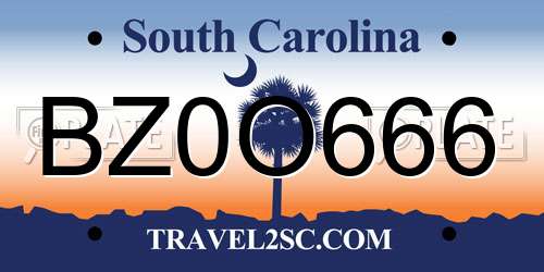 BZ0O666 South Carolina License Plate
