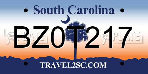 BZ0T217 South Carolina License Plate