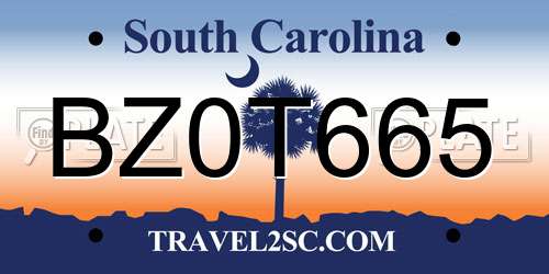 BZ0T665 South Carolina License Plate