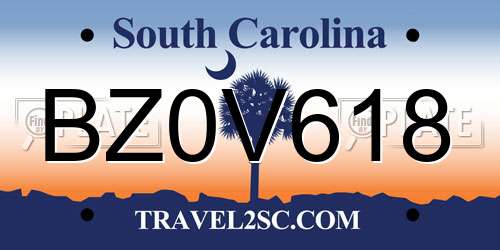 BZ0V618 South Carolina License Plate