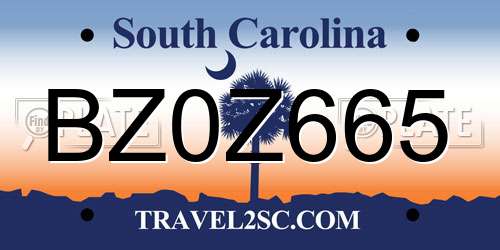 BZ0Z665 South Carolina License Plate
