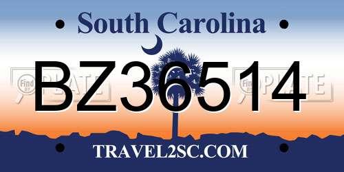 BZ36514 South Carolina License Plate