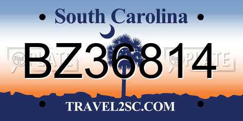 BZ36814 South Carolina License Plate