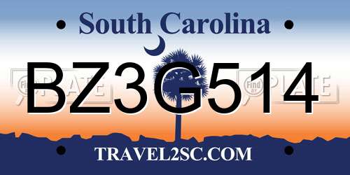 BZ3G514 South Carolina License Plate