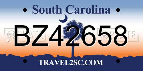BZ42658 South Carolina License Plate