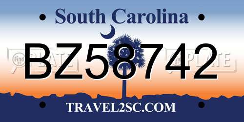 BZ58742 South Carolina License Plate