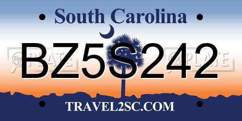 BZ5S242 South Carolina License Plate