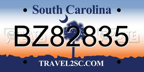 BZ82835 South Carolina License Plate