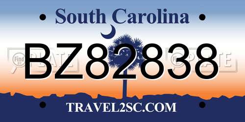 BZ82838 South Carolina License Plate