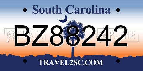 BZ88242 South Carolina License Plate