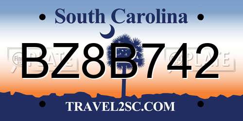 BZ8B742 South Carolina License Plate