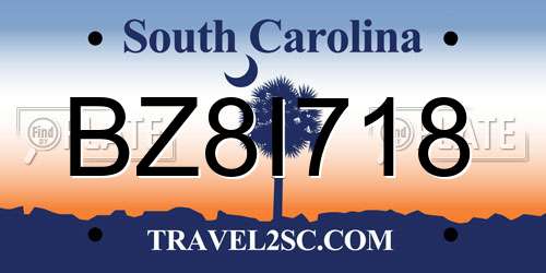 BZ8I718 South Carolina License Plate