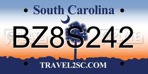 BZ8S242 South Carolina License Plate