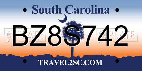 BZ8S742 South Carolina License Plate