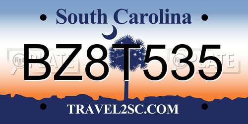 BZ8T535 South Carolina License Plate