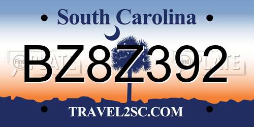 BZ8Z392 South Carolina License Plate