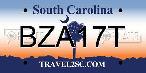 BZA17T South Carolina License Plate